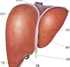 多少人沒有熬過46至55歲，千金難買的救命神文