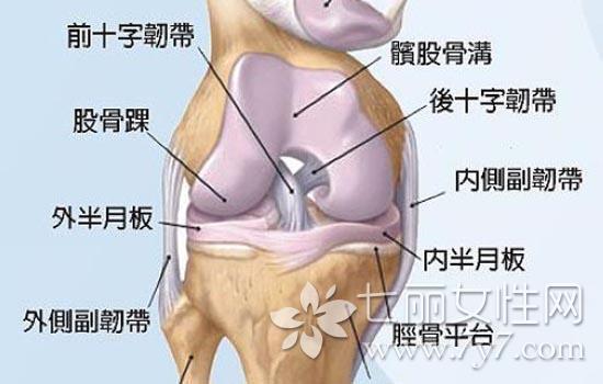 膝蓋疼是怎麼回事 九大原因一個秘方讓你跟疼痛說拜拜