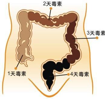 經常便秘怎麼辦？ 便秘吃什麼好？ 兩分鐘教你快速治便秘！