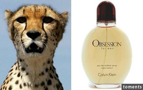 男性的尿液如果在測孕棒上顯示是兩條線的話，絕對不是懷孕了！趕快去看醫生吧～