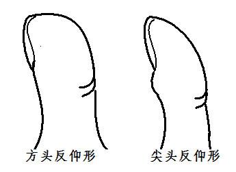 手相算命:大拇指指紋手相圖解