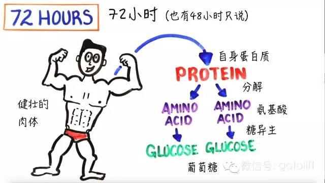 不吃飯減肥的下場，一定要看完！