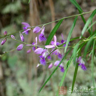 三味中藥泡水喝50歲變20歲