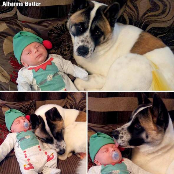 懷孕後有人勸她扔掉狗，還好沒那麼做，之後狗救了她和胎兒兩條命