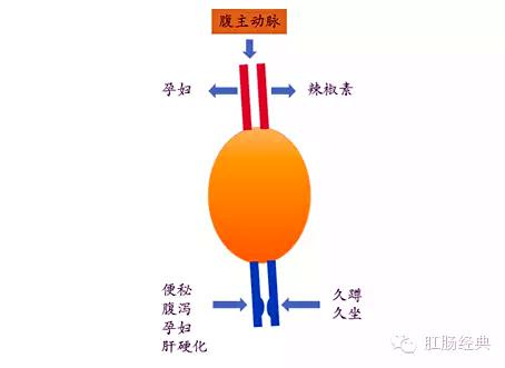 百變痔瘡，圖說本質