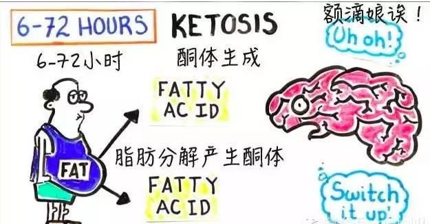 不吃飯減肥的下場，一定要看完！