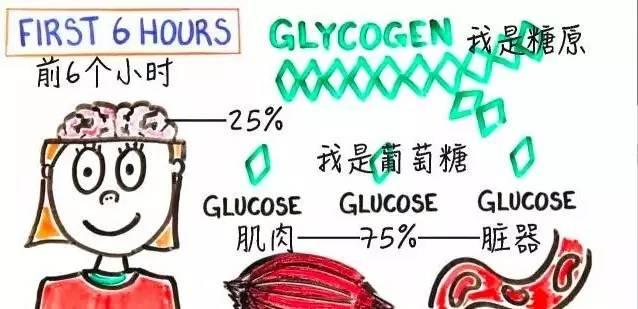 不吃飯減肥的下場，一定要看完！