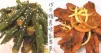 【快手菜系列】簡易惹味家常菜，15分鐘輕鬆上桌！
