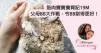 【筋肉寶寶養育記19M】父母BB大作戰，令BB訓得更好！