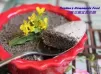 芝麻豆腐盆栽奶酪