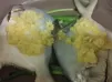 蒜蓉蒸䱽魚