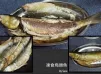 【另類凍食烏頭魚】