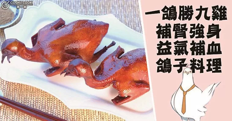 冬季飲食推介，一鴿勝九雞，補腎強身，營養滋補鴿子食譜！