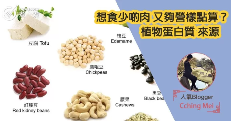 想食少啲肉 又夠營樣點算？  植物蛋白質 來源