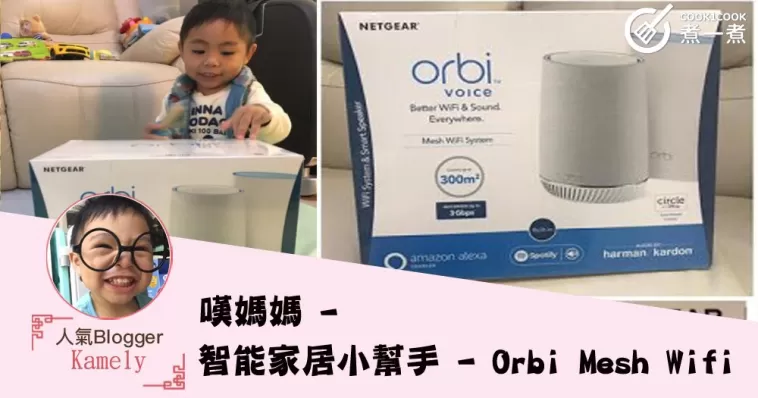 嘆媽媽 - 智能家居小幫手 - Orbi Mesh Wifi