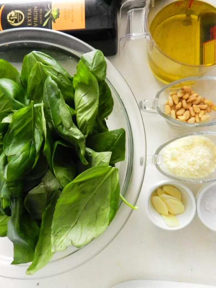 用爸爸在院子裡種的basil做basil Source