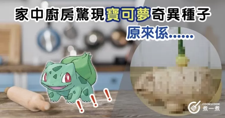 家中廚房驚現寶可夢奇異種子 原來係......