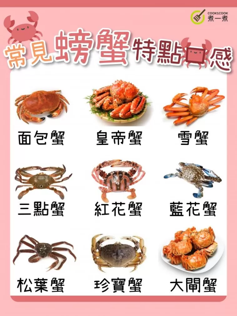 【 #食物小知識 】 鮮味十足 教你揀選10款常見蟹類