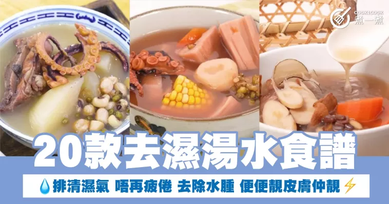 20款去濕湯水食譜 排清濕氣 唔再疲倦 去除水腫 便便靚皮膚仲靚