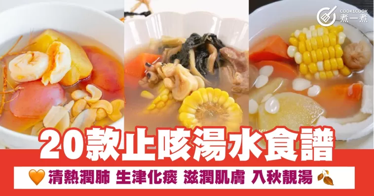 20款止咳湯水食譜  清熱潤肺  生津化痰 滋潤肌膚 入秋靚湯
