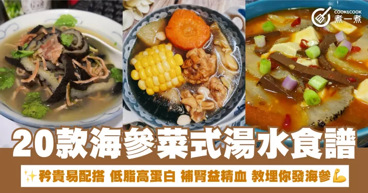 20款海參菜式湯水食譜 矜貴易配搭 低脂高蛋白 補腎益精血 敎埋你發海參