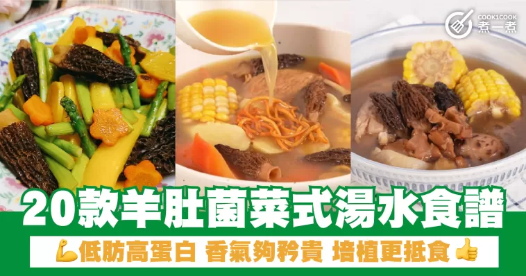 20款羊肚菌菜式湯水食譜 低肪高蛋白 香氣夠矝貴 培植更抵食