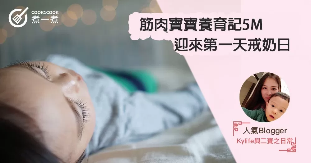 【筋肉寶寶養育記5M】迎來第一天戒奶日