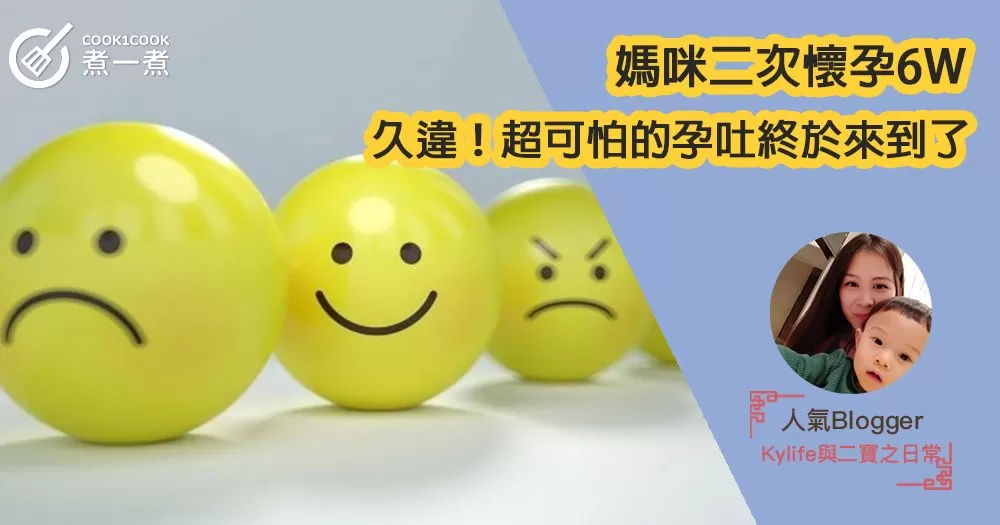 【媽咪二次懷孕6W】久違！超可怕的孕吐終於來到了！！