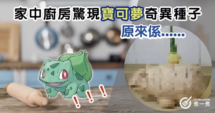 家中廚房驚現寶可夢奇異種子 原來係......