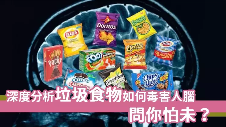 深入了解垃圾食品是如何傷害大腦的