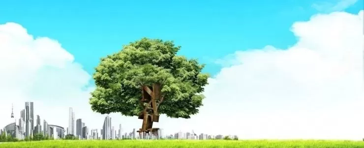 測血壓選左手還是右手？