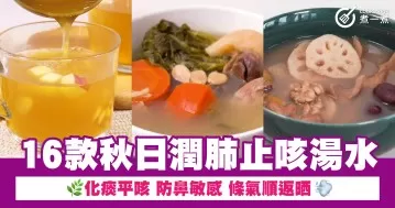 16款秋日潤肺止咳湯水 化痰平咳 防鼻敏感 條氣順返晒