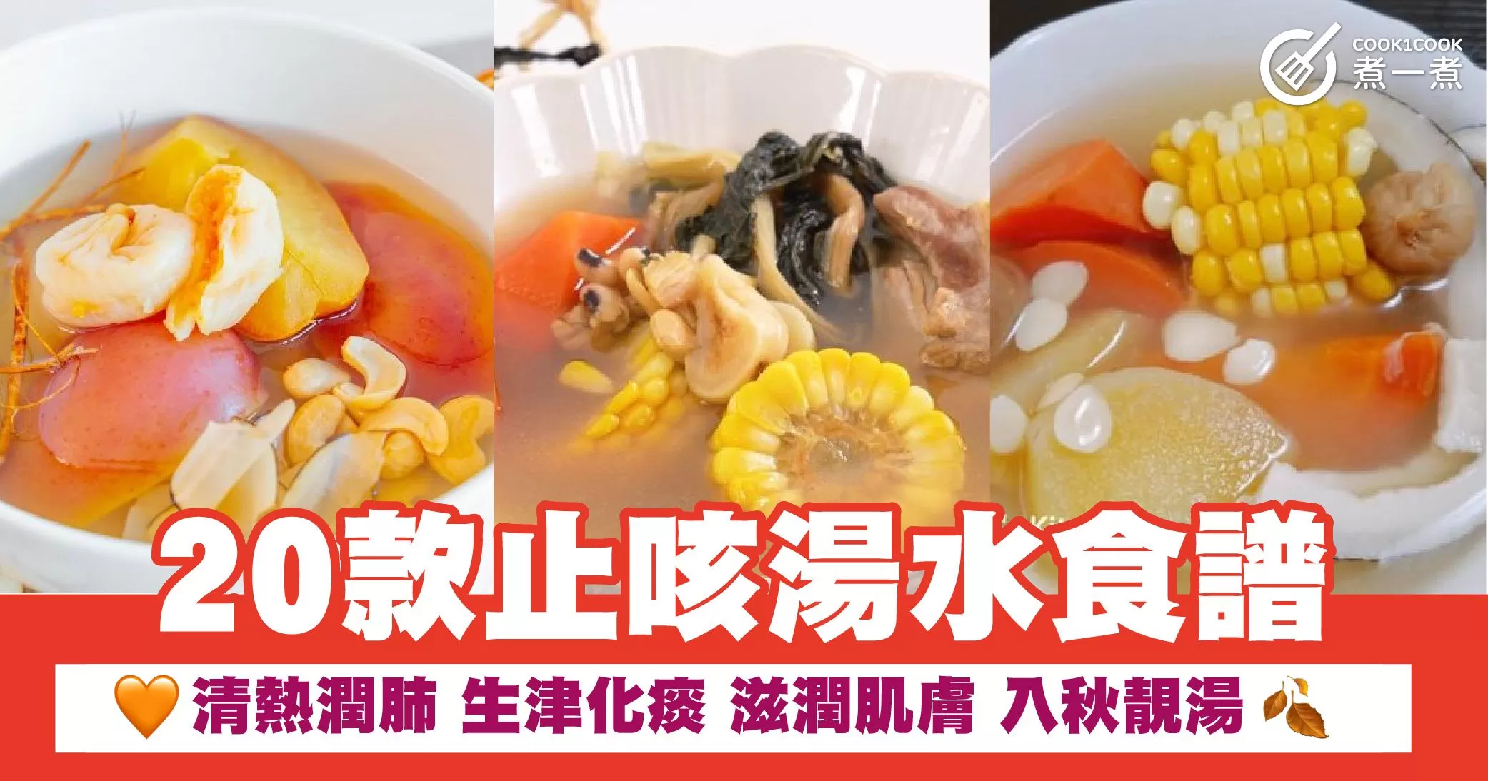 20款止咳湯水食譜  清熱潤肺  生津化痰 滋潤肌膚 入秋靚湯