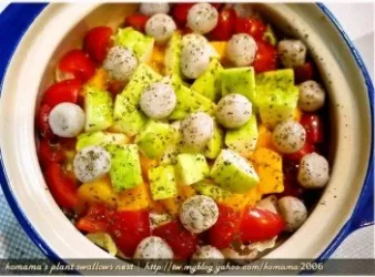 黑Q蔬果酸醋沙律