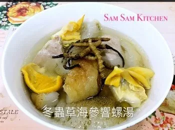 冬蟲草海參響螺湯