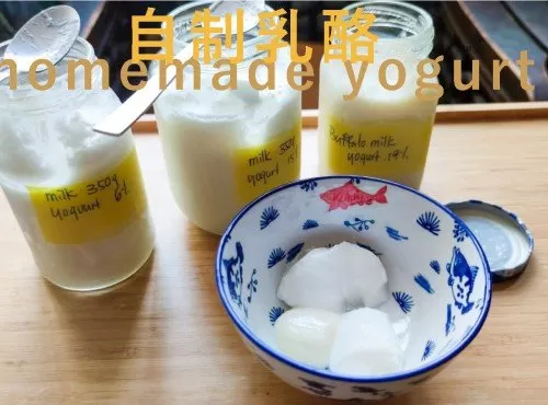 自制乳酪 其實很危險 詳盡解說乳酪形成/制作  (附影片)