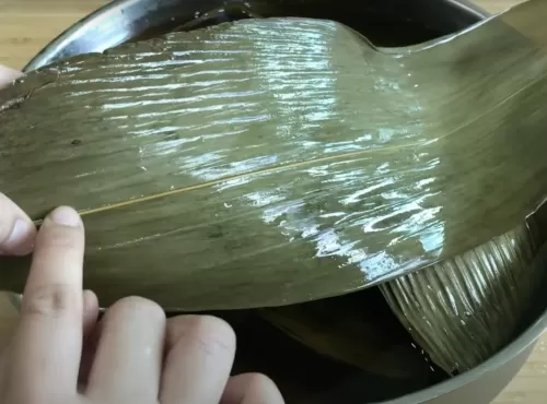 處理乾粽葉