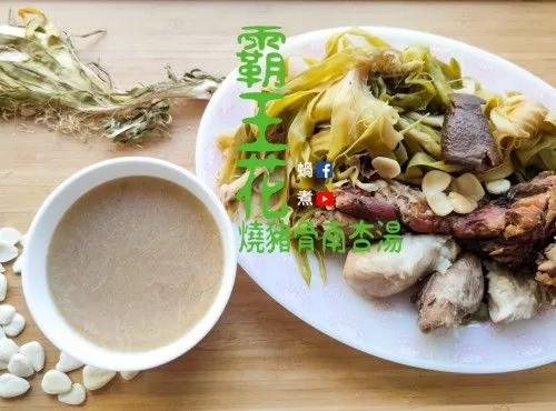 湯水篇｜霸王花燒豬骨南杏湯 清熱 潤肺 下火 (附影片)