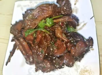 懷舊狗仔鴨