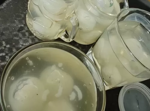 椰青水荔枝凍
