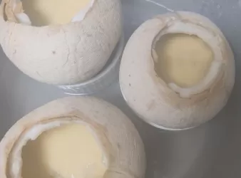 純椰皇無水燉蛋