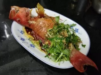 清蒸燕子星