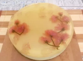 蜂蜜櫻花豆腐芝士蛋糕