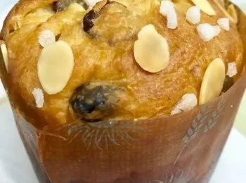 天酵種Panettone